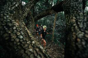 BIB: 
                            <button type="button" onclick="openModal(25392314)" class="btn btn-primary btn-sm float-right btn-popup" data-toggle="modal" data-target=".modal-high-quality">
                        <i class="fas fa-shopping-cart"></i> Add to Cart
                    </button>
                                            <button type="button" onclick="isThisMe(25392314, true)" class="btn btn-success btn-sm float-right btn-popup btn-isme hidden" data-toggle="tooltip" data-placement="bottom" title="นี่คือรูปของคุณใช่ไหม คลิกที่นี่เพื่อเอาเข้าอัลบั้ม">
                        <i class="fas fa-plus"></i> Add to album
                    </button>
                    <button type="button" onclick="isThisMe(25392314, false)" class="btn btn-warning btn-sm float-right btn-popup btn-isnotme hidden">
                        <i class="fas fa-ban"></i> Remove from album
                    </button>